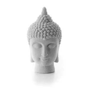 Dordenma Buddha Head